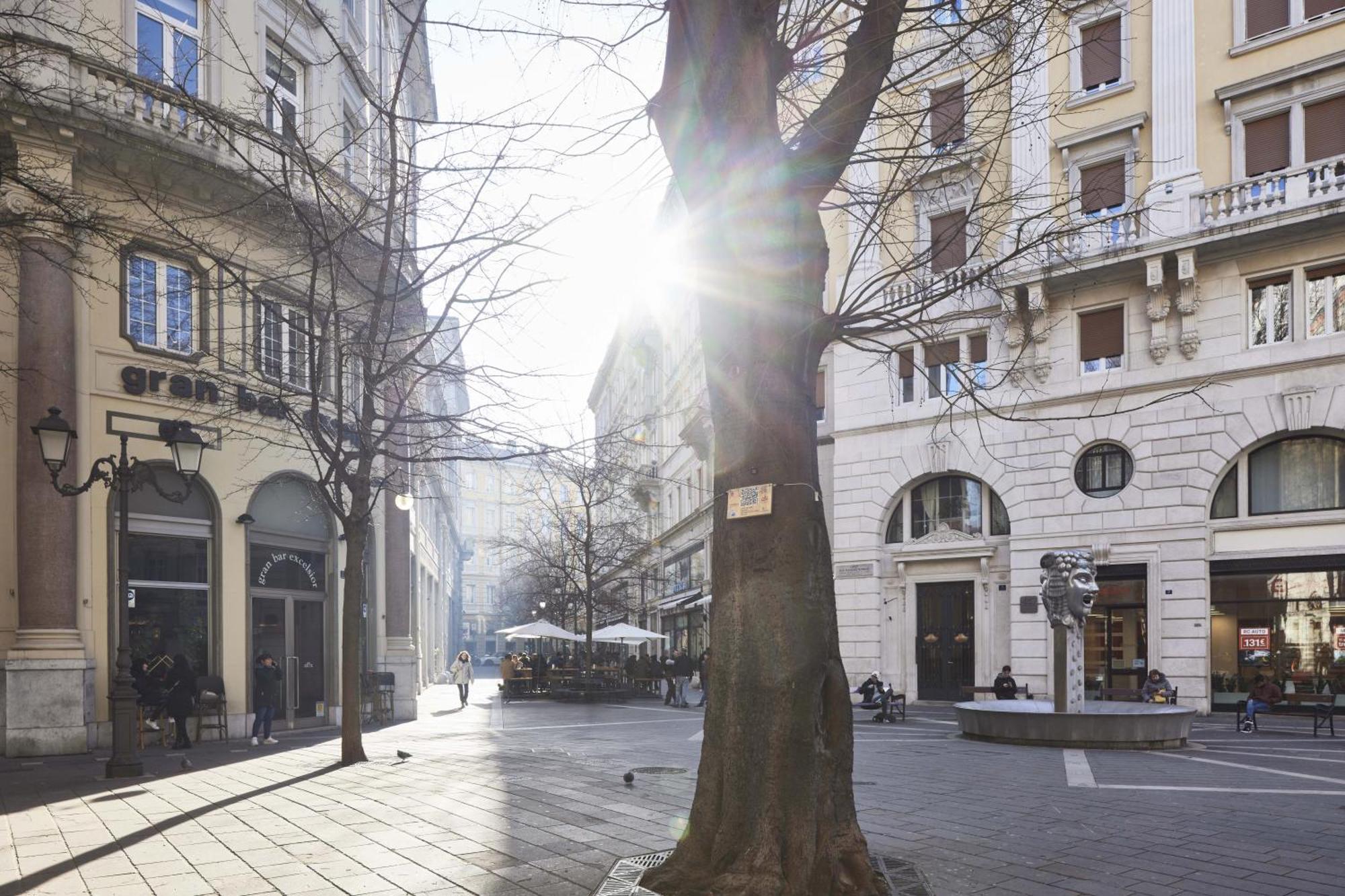 Triestinn - Viale Suite Luaran gambar